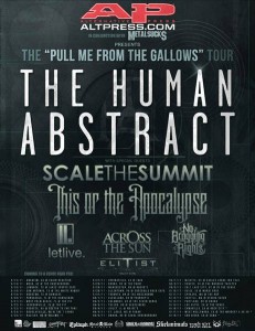 The Human Abstract