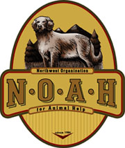 N.O.A.H.