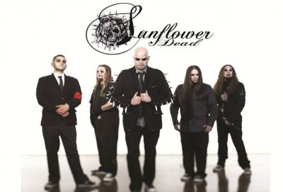 Sunflower dead