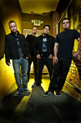spineshank
